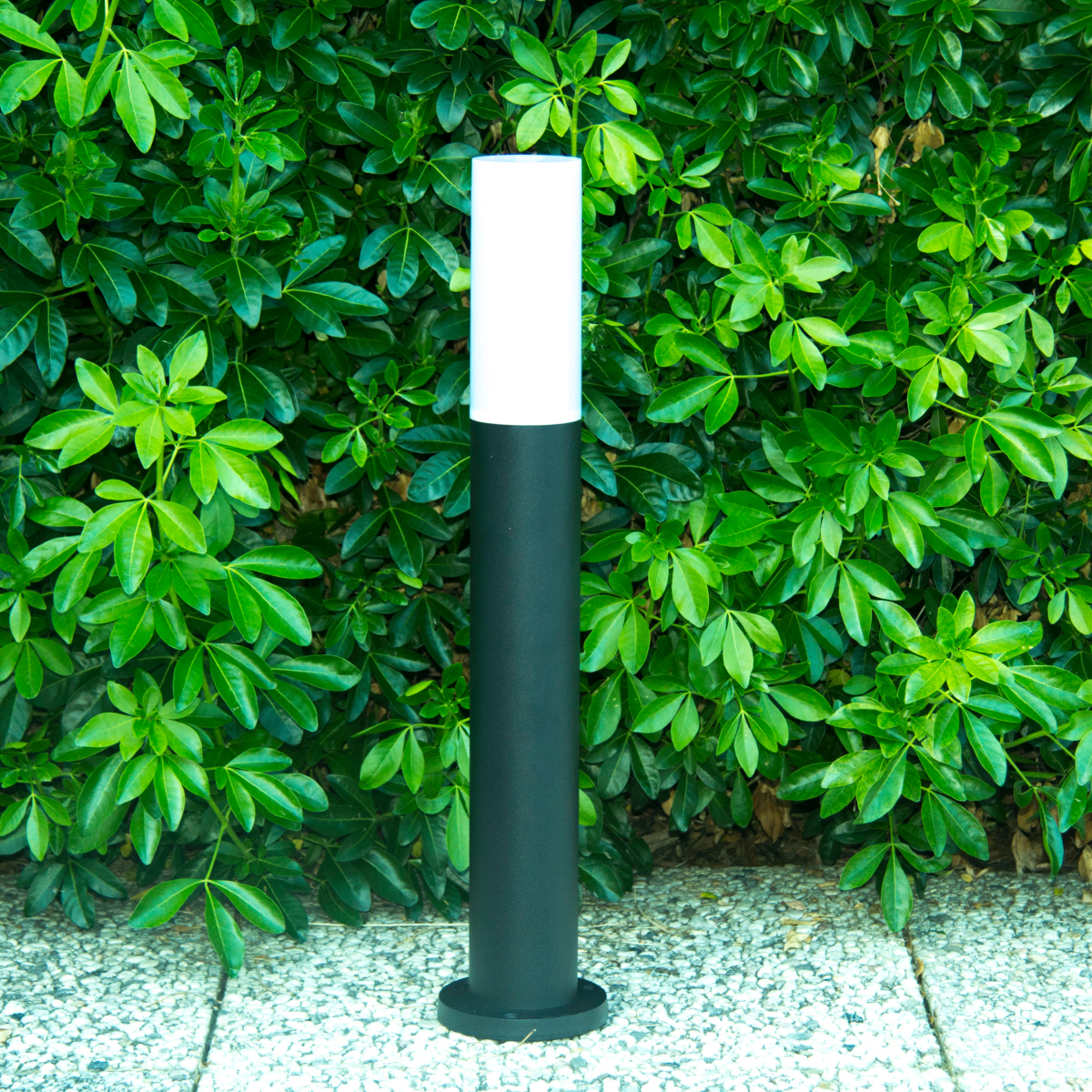 Product Sub Image
